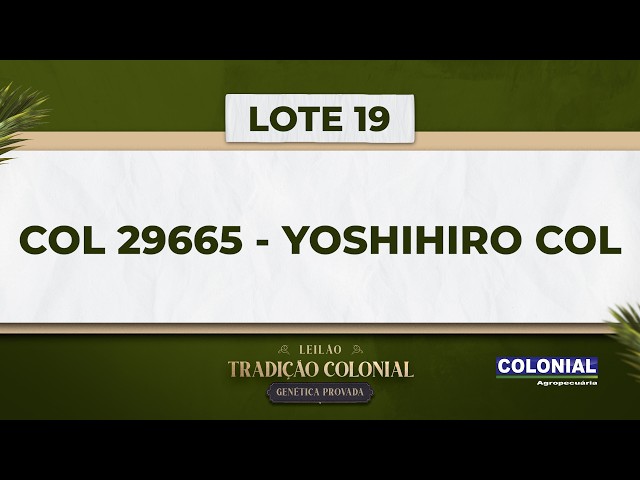 LOTE 19   COL 29665   YOSHIHIRO COL