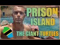 The Prison island and giant turtles