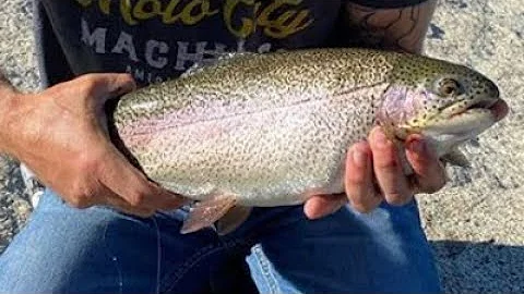 Sierras National Forest - Hunting and Fishing Wishon Dam - zone d7