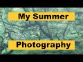 Summer Photography - A look at my most recent images