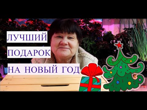 Осенние работы в саду и огороде. Видео