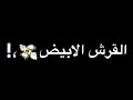 حالات واتس القرش الابيض حوده بندق ومسلم من مسلسل عوده الابن الضال حالات واتس القرش الابيض حوده بندق ومسلم من مسلسل عوده الابن الضال