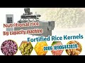 2022 quality fortified rice kernels frk manufacturing machinenutritional rice twin screw extruder