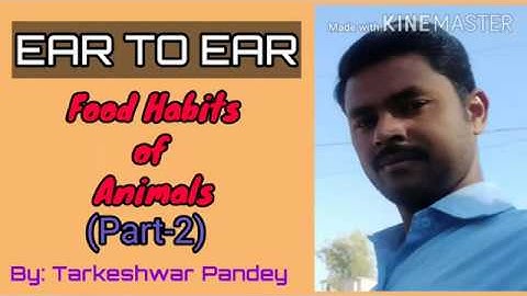 Ear to Ear (Food Habits of Animals) Part-2 EVS Class-4 By: Tarkeshwar Pandey English Medium|NCERT|