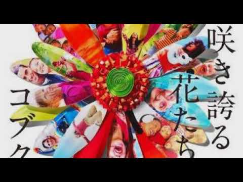 [everysing] 今、咲き誇る花たちよ