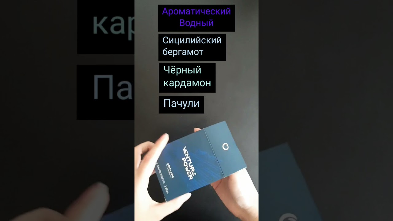 Мужская туалетная вода Venture Power 