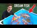 I BOUGHT MY DREAM FISH!!