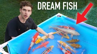 I BOUGHT MY DREAM FISH!!