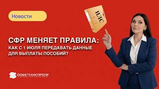 СФР меняет правила: как с 1 июля передавать данные для выплаты пособий
