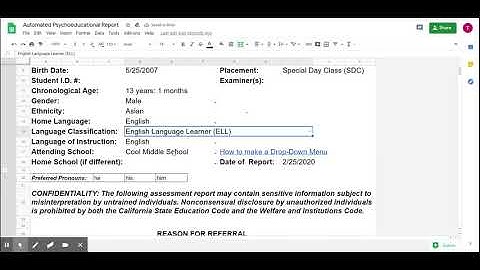 Automated Psychoeducational Report - Google Sheets