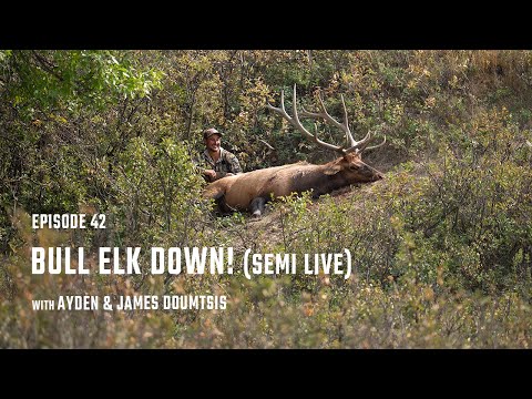 Episode 42 - “Bull Elk Down! (Semi Live)” - The Twin Elements Podcast - With Ayden & James Doumtsis