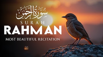 Surah Ar Rahman سورة الرحمن | Lofi Quran Peaceful for Spiritual Rest & Relief | #surahrahman 