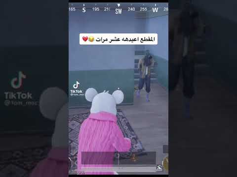 فصعت ببجي