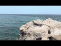 Isla Mujeres Punta Sur Iguana’s Paradise