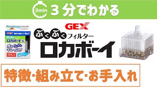 【2分解説】ロカボーイ　おすすめバージョンアップ方法も！