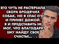 Его чуть не растерзала свора бродячих собак, но я спас его и принёс домой. Я и представить не мог…