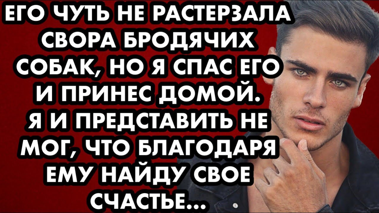 Его чуть не растерзала свора бродячих собак, но я спас его и принёс ...