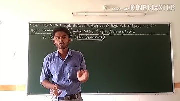 SET - E&F/10/SCI/6.01