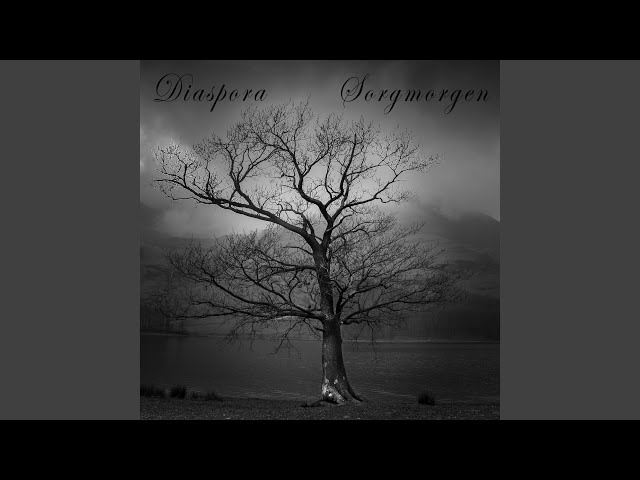 Diaspora - Ønskebrønn