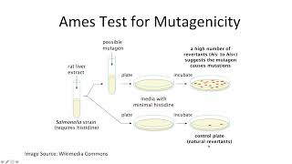 Drug Development and FDA Review Process