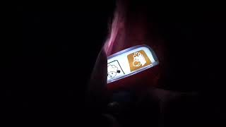 Vtech Spin & Learn Color Flashlight