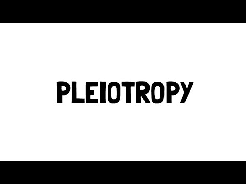 Wideo: Kiedy występuje plejotropia?