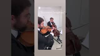 Bittersweet Symphony At The Peach Orchard