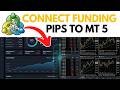 How to Connect Funding Pips to Metatrader 5