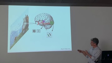 Eero Simoncelli: Cascaded gain control representations for visual images