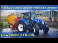 Feeding the Sheep With the Teagle Bale Shredder | Ft New Holland T5.105