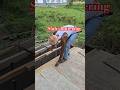 slab shuttering carpenter work construction side work #construction #carpenter #viral #shorts