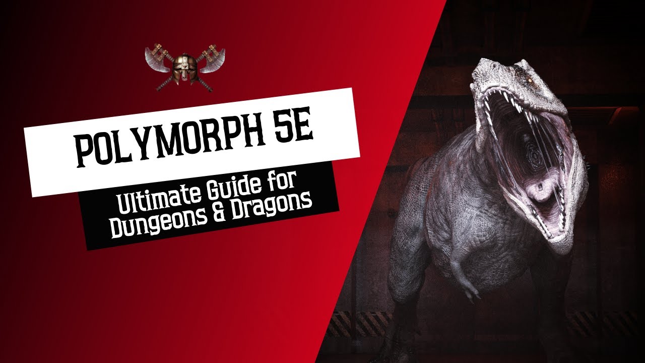 Polymorph 5e - Ultimate Guide for Dungeons and Dragons