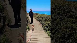 Central Coast Weather Today ☀️ Morro Bay Fog to Sunny Cambria -July 10