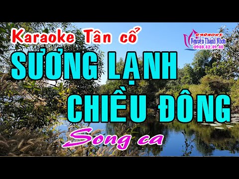 Karaoke tân cổ