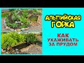 АЛЬПИЙСКАЯ ГОРКА. КАК УХАЖИВАТЬ ЗА ПРУДОМ? Пошаговая инструкция.