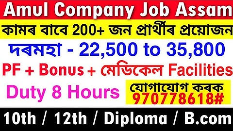 Assam Private Job 2025 | Private Job Assam 2025 | Assam Job News Today | Guwahati Private Job 2025