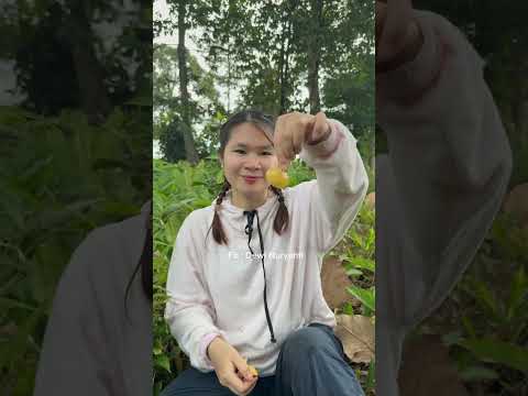 Enaknya berkunjung kekebun