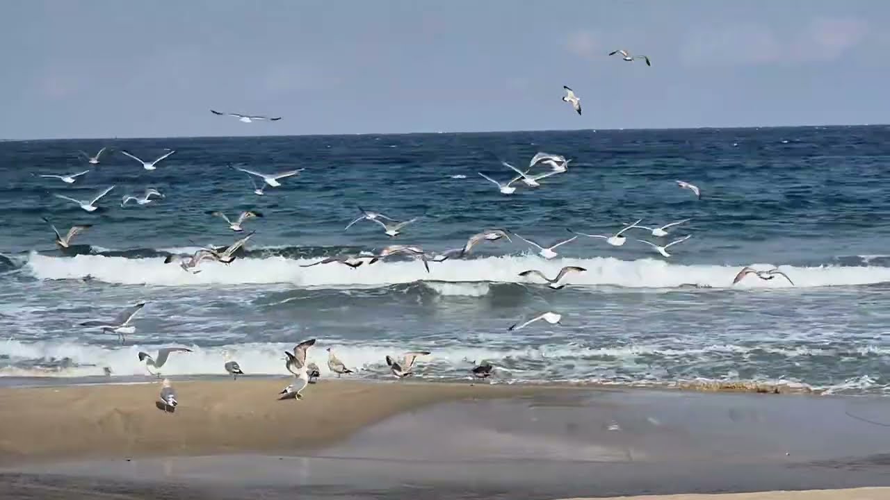 🌊동해바다🌊임원항 으로 가는길 (의정부 언니와 여동생들과 함께한 행복한 시간)