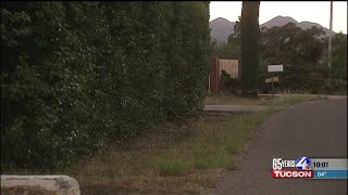 Neighbors stunned after boy is attacked by family dogs
