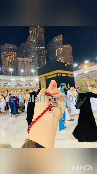 Qalbi fil madinah #naat #madina #love #islamicstatus #makkah #masjidnabawi #masjidalharam #hijab