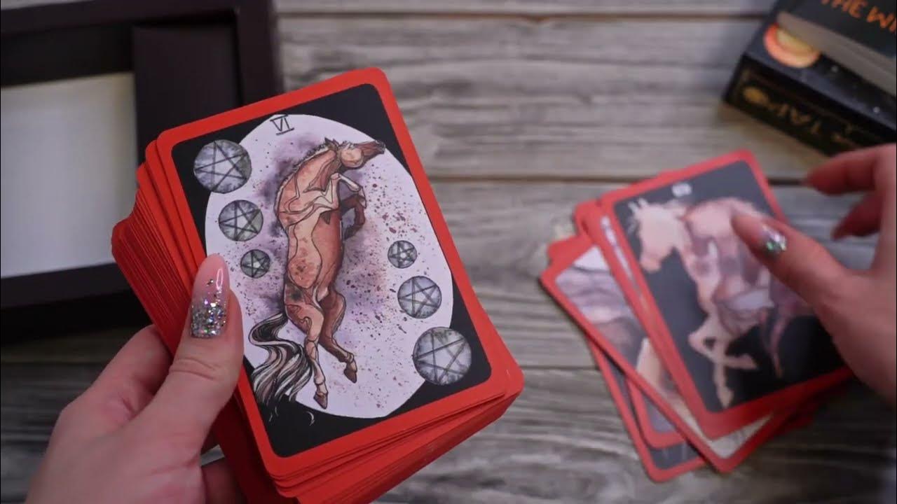 Листаем "The Wild Dark Tarot. Дикое темное таро" - YouTube