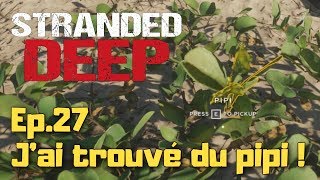 Stranded Deep (Let's play Fr) - Ep.27 : J'ai trouvé du pipi !