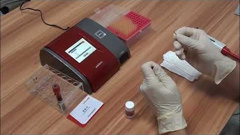 Specific Protein Analyzer | Clinical Analytical Instruments MSLGH01 operation