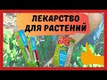 Превикур: как защитить растения