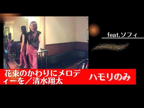 清水翔太／花束のかわりにメロディーを【うたスキ動画】ハモリのみ