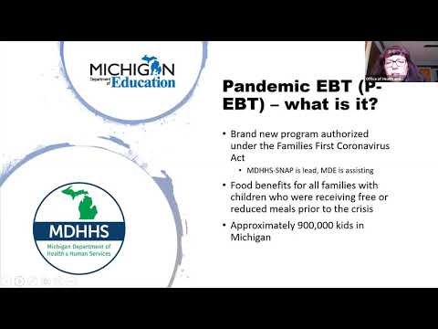 Michigan P Ebt Customer Service