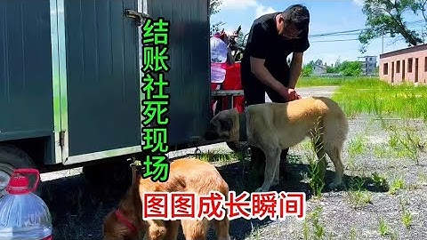 镇里买菜碰到一个尴尬的事，晚餐做水煮肉片浇面。