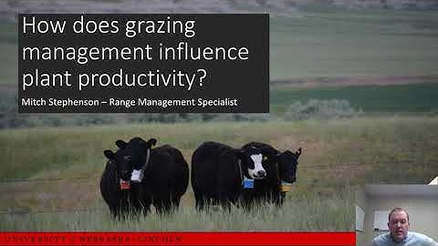How does management influence rangeland productivity?