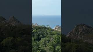 Traveling through Thailand 🌊🏝️🐢 Currently in Koh Tao 🇹🇭 #travel #thailand