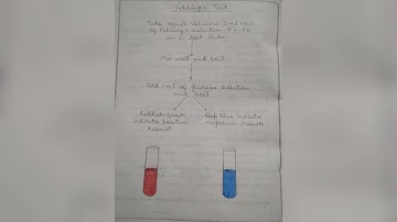 PRACTICAL FILE OF ZOOLOGY (ANIMAL PHYSIOLOGY and BIOCHEMISTRY) PART 2 B.Sc. 3rd YEAR